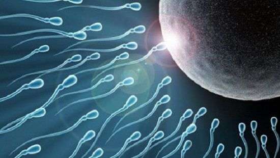 Назван напиток, который негативно влияет на успешность зачатия