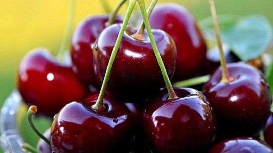 Эксперты назвали топ-5 продуктов для здоровья суставов