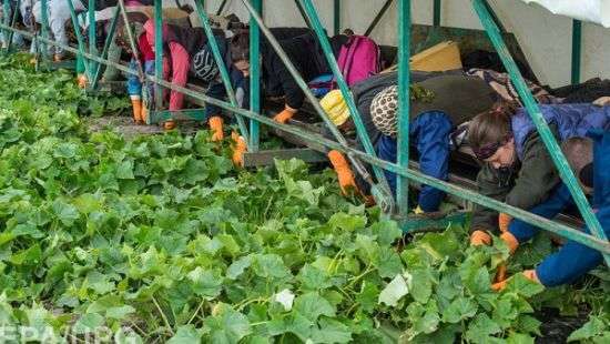 В прошлом году заробитчане перевели в Украину около 7 млрд. долларов