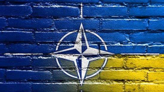 В «Оппоблоке» раcкол: депутат призвал законодательно закрепить курс Украины на членство в НАТО