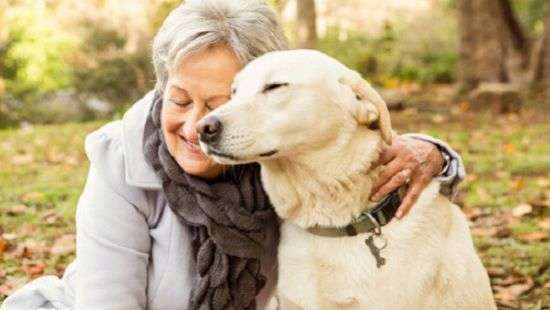 Эксперты предложили «выписывать» собак вместо лекарств