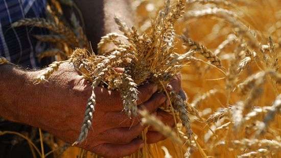 В ЕС согласовали дополнительные беспошлинные квоты на украинские товары