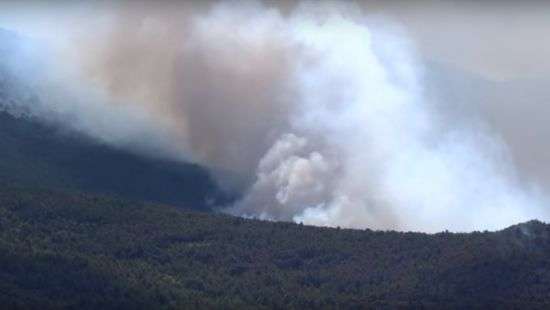 В Хорватии из-за лесных пожаров из отелей эвакуировали 800 туристов (видео)