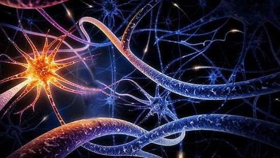 Специалисты нашли методику восстановления нервов