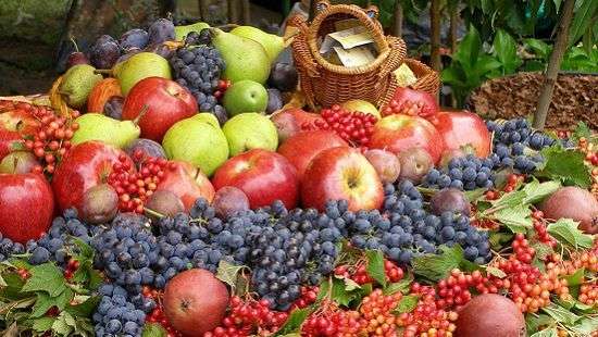 Специалисты назвали лучшее трио продуктов от рака