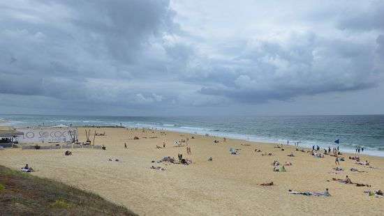 Во Франции на пляж вынесло более 1,5 тонны кокаина