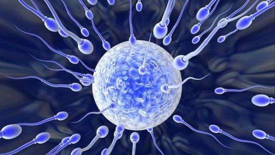 Специалисты придумали необычный метод контрацепции