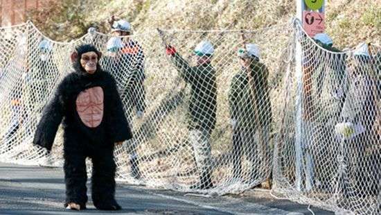 Ученые назвали главное отличие человека от животного