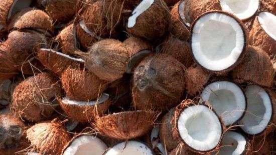 В Испании задержали партию кокаина, спрятанного в кокосах