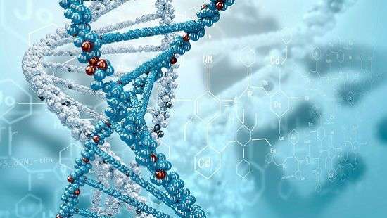Медики приблизились к разгадке появления рака