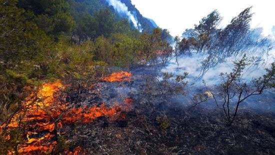 В Испании из-за пожара эвакуированы более 2 тыс. человек