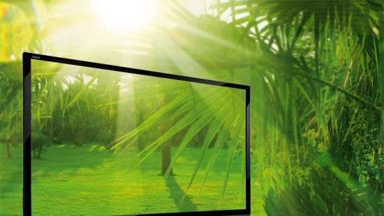 Sharp может начать выпуск OLED-панелей