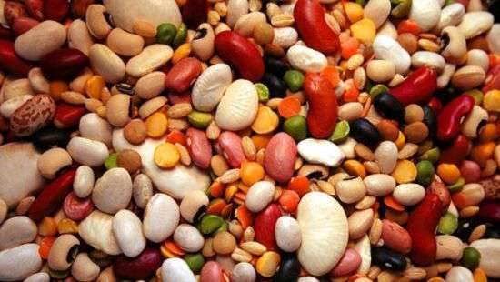 Назван главный продукт для здоровья и долголетия