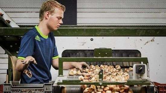 Польша приняла на своей территории 1,4 млн. украинцев