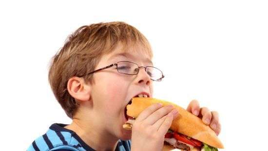 Что делать, если ребенок все время хочет есть?