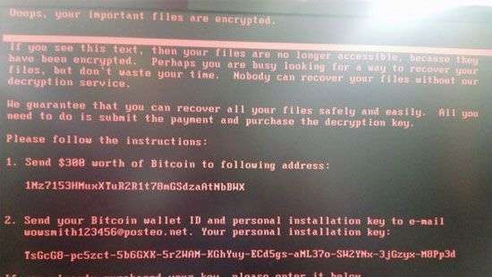 В Киберполиции посоветовали украинцам, как уберечься от хакерских атак