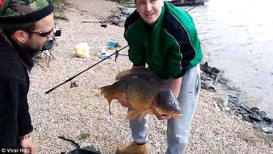В соцсетях сочувствуют рыбаку, от которого сбежал огромный карп (видео)