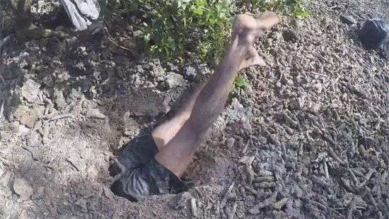 Видео с охотой австралийца на гигантского краба покорило сеть