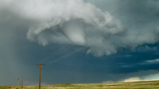 В Черниговской области смерч поднял в воздух двух детей и бросил на землю