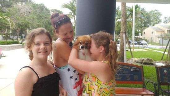 В США потерявшийся шпиц прошел более 320 км за пять месяцев