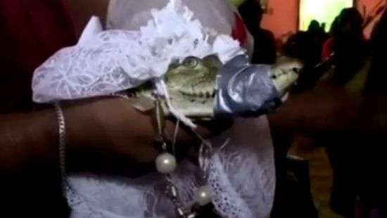 Мэр мексиканского города сыграл свадьбу с крокодилом (видео)