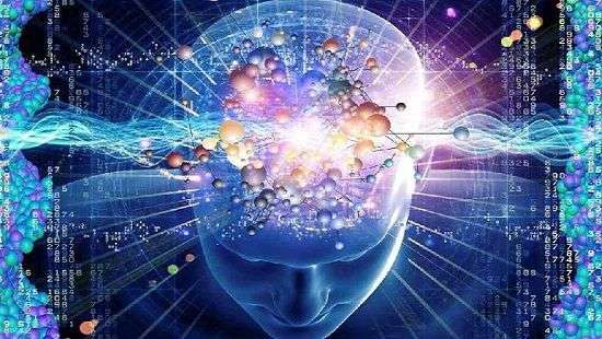 Медики назвали продукты, улучшающие работу мозга