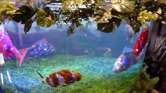 В Японии создали рыб-роботов