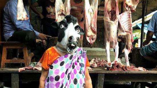 В Индии женщины стали «коровами» в знак протеста против насилия (фото)