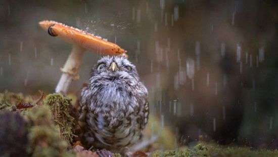 Медики рассказали, какая погода подрывает здоровье