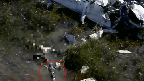 В США пилота рухнувшего самолета съел аллигатор