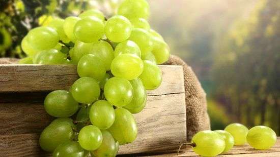 Названа ягода, которая поможет в профилактике рака