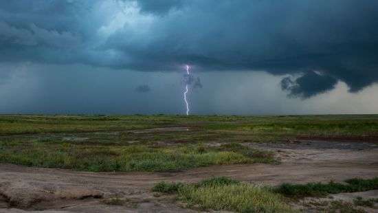 В Казахстане удар молнии убил чабана и полторы тысячи овец