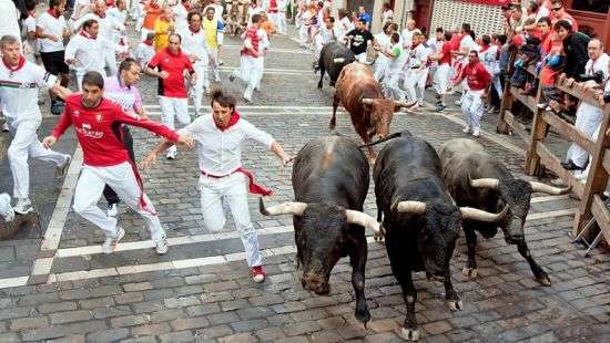 На испанском фесте в забеге с быками травмированы шесть человек (видео)