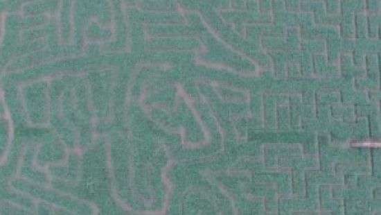 В Великобритании Шерлоку Холмсу посвятили лабиринт из кукурузы