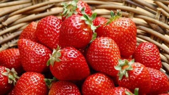 Названа ягода, способная предотвратить возрастные когнитивные нарушения