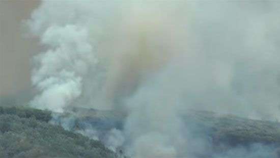 В Италии пожар на склонах Везувия показали на впечатляющем ВИДЕО