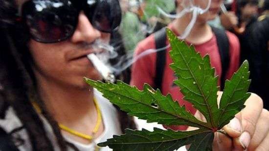 В Грузии разрешили выращивать коноплю для личных нужд