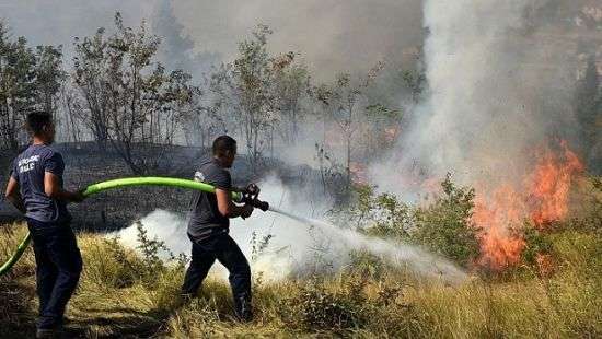 Побережье Адриатики охватили лесные пожары