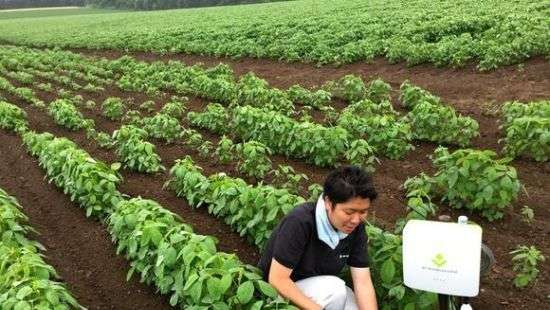 Япония займется развитием «умного» сельского хозяйства