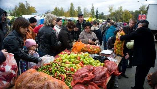 На столичных ярмарках запретили продавать скоропортящиеся продукты