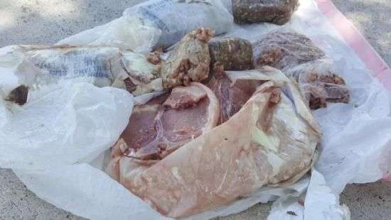 В США на дом супружеской пары с неба свалилось мясо (ВИДЕО)