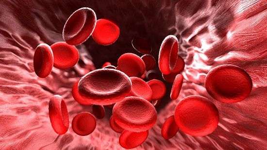 Как распознать анемию, рассказали врачи