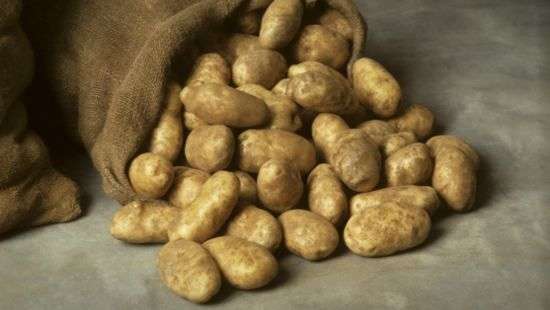 Украина обеспечила картошкой Беларусь