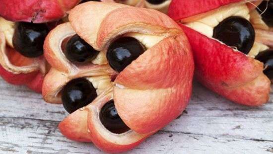 Самые опасные для жизни блюда, назвали эксперты