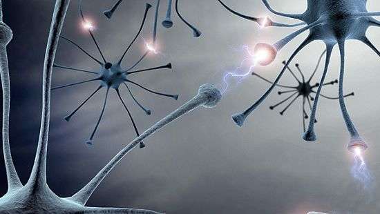 Медики нашли способ борьбы с болезнью Хантингтона