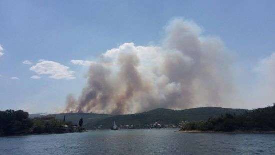 В Черногории задержали поляка по подозрению в поджогах