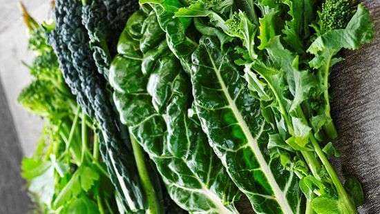 Названы продукты, способные омолодить мозг