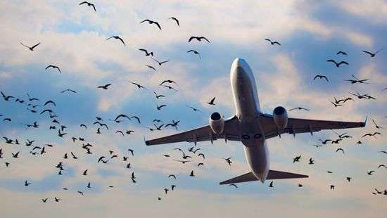 «Антонов» объяснил нюансы решения Кабмина о своей ликвидации