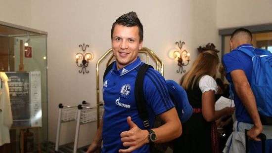 Коноплянка получил травму