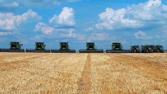 «Мрия» ответила на обвинения «Перлини Поділля»